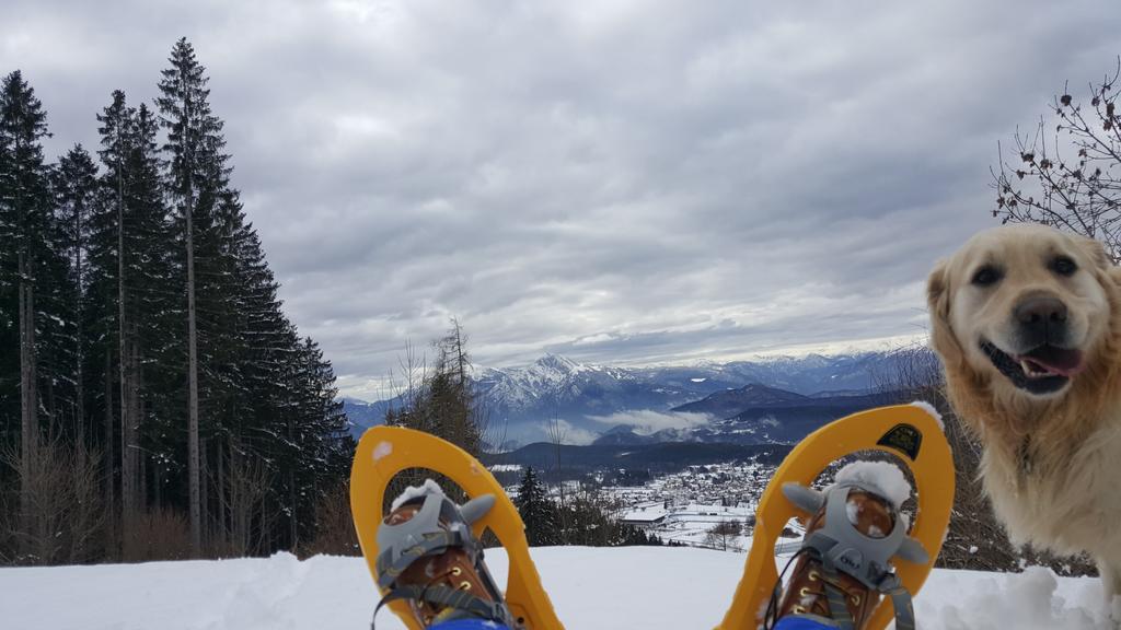 Hotel Olimpic Baselga di Pine Bagian luar foto